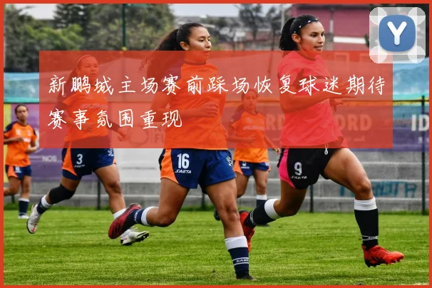 新鹏城主场赛前踩场恢复球迷期待赛事氛围重现